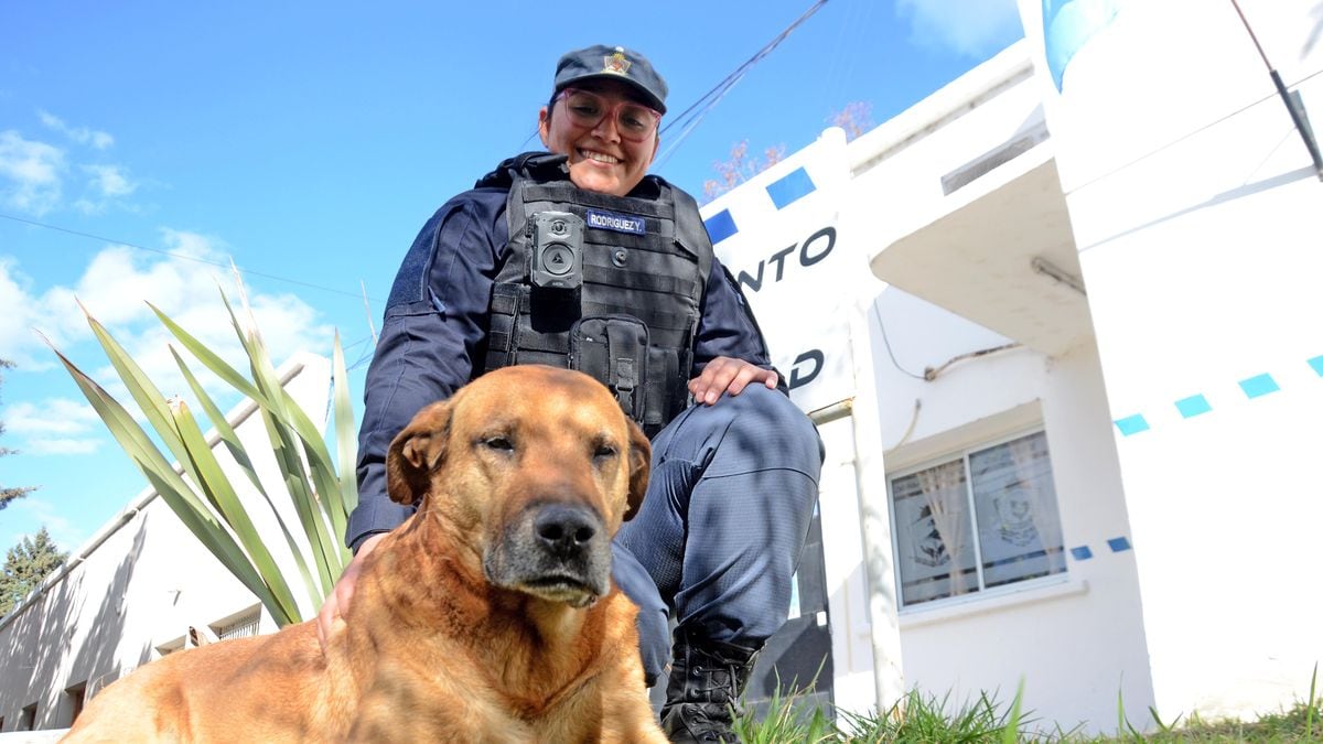 Puchero, el guardián de cuatro patas que acompaña los patrullajes de Neuquén