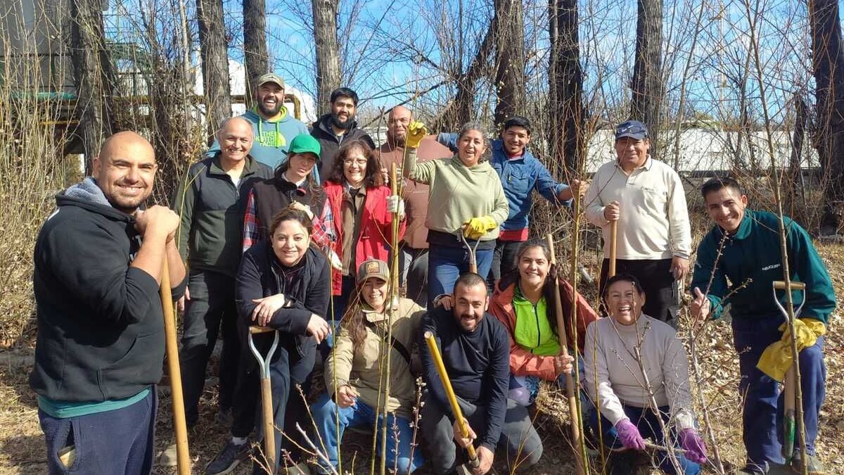 Plottier le abre la puerta al sauce criollo: un taller gratuito para multiplicar al árbol que casi nadie reconoce