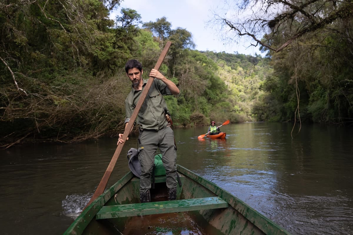 Margay, una reserva de selva paranaense a la vera del arroyo Paraíso