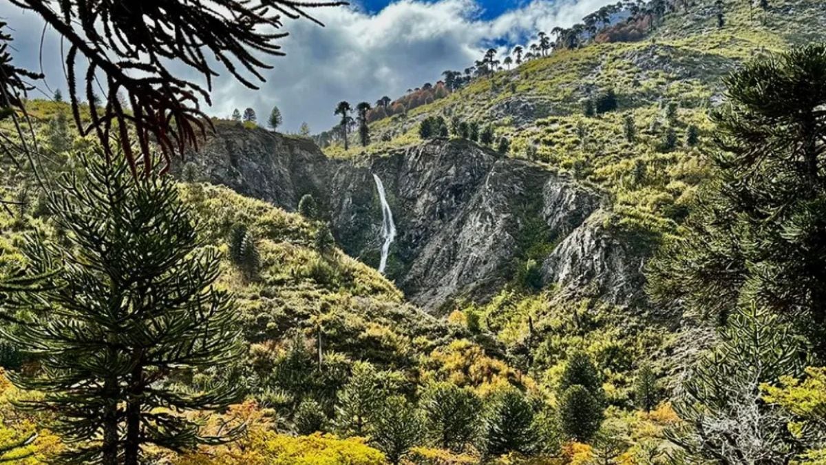 Ojos bien abiertos antes de pagar: la advertencia que sacude a Pulmarí por la venta ilegal de lotes