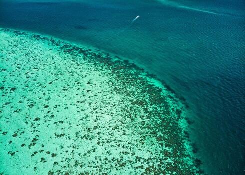 San Pedro, en el Caribe beliceño: dos maneras de llegar y un menú de excursiones sobre el arrecife