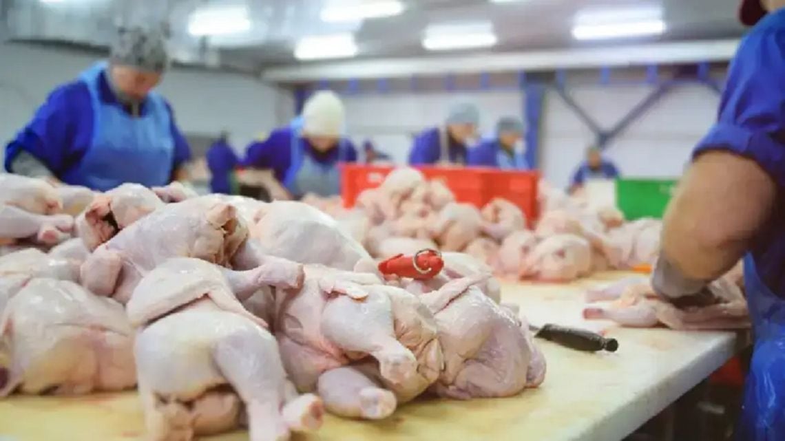 Por primera vez, el consumo de pollo superó al de carne vacuna en la mesa argentina