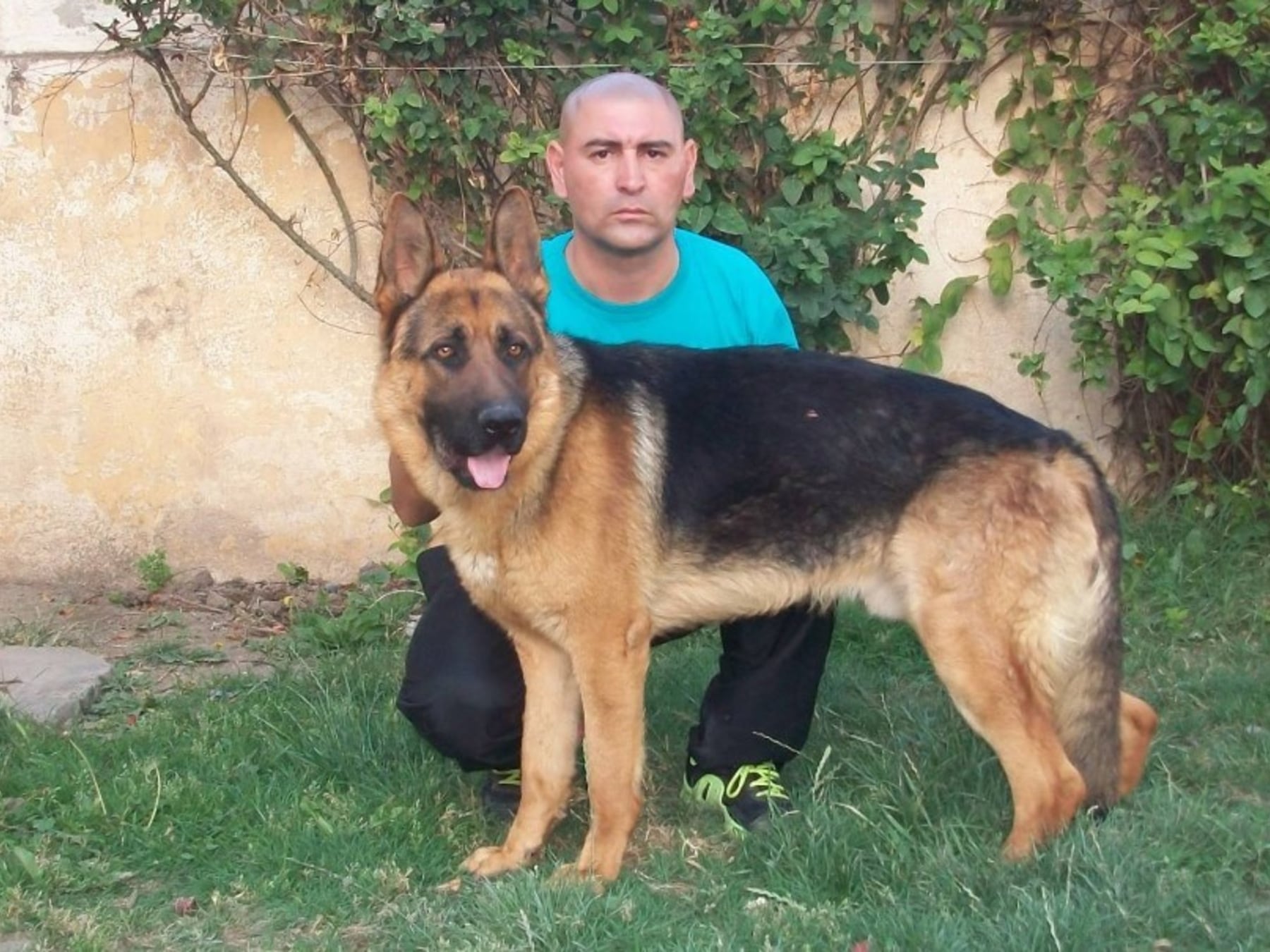 A juicio el adiestrador que marcó el rumbo de la causa Fulles con sus perros