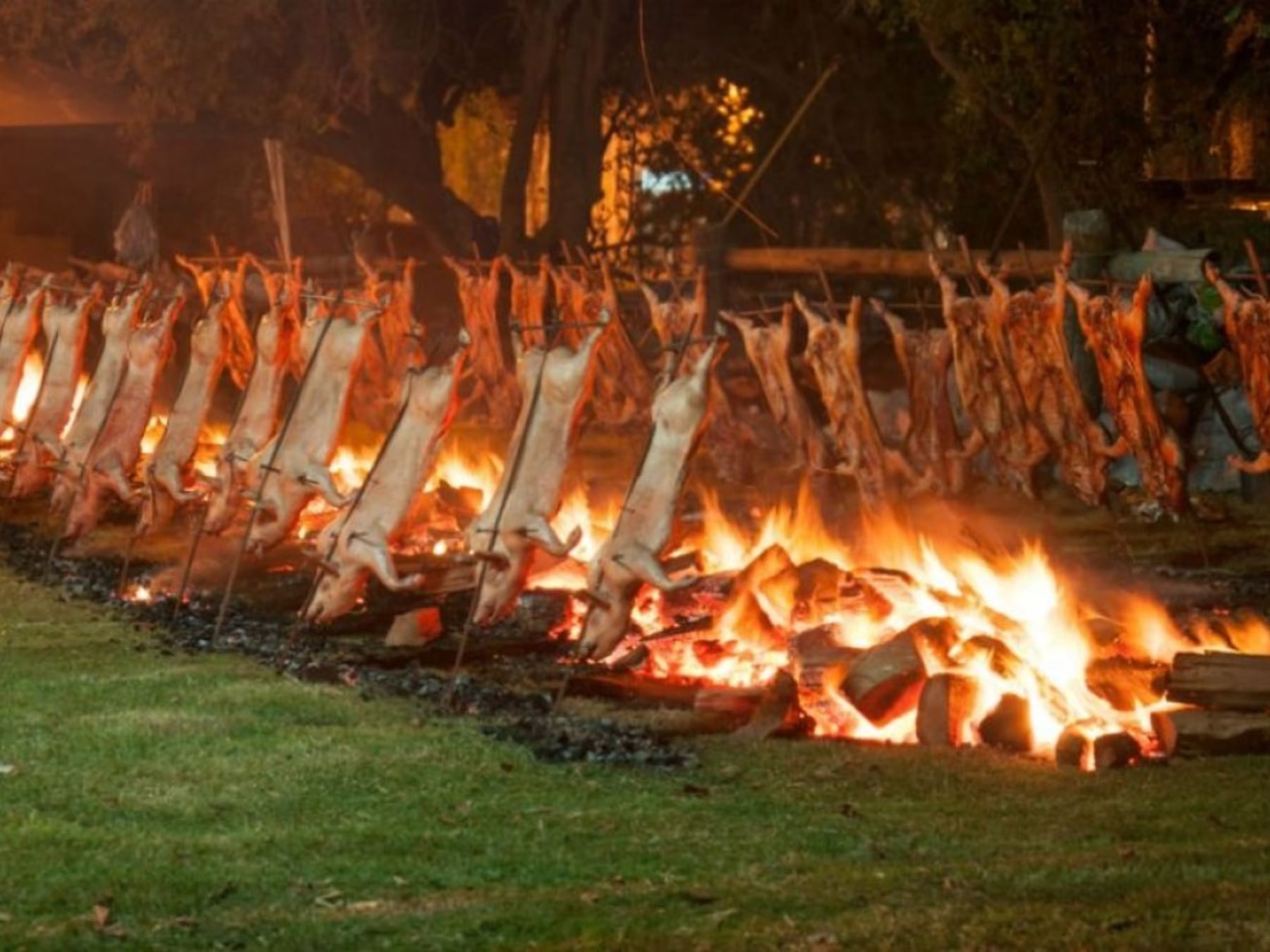 Siete destinos bonaerenses para celebrar el fin de semana largo entre sabores, tradiciones y música