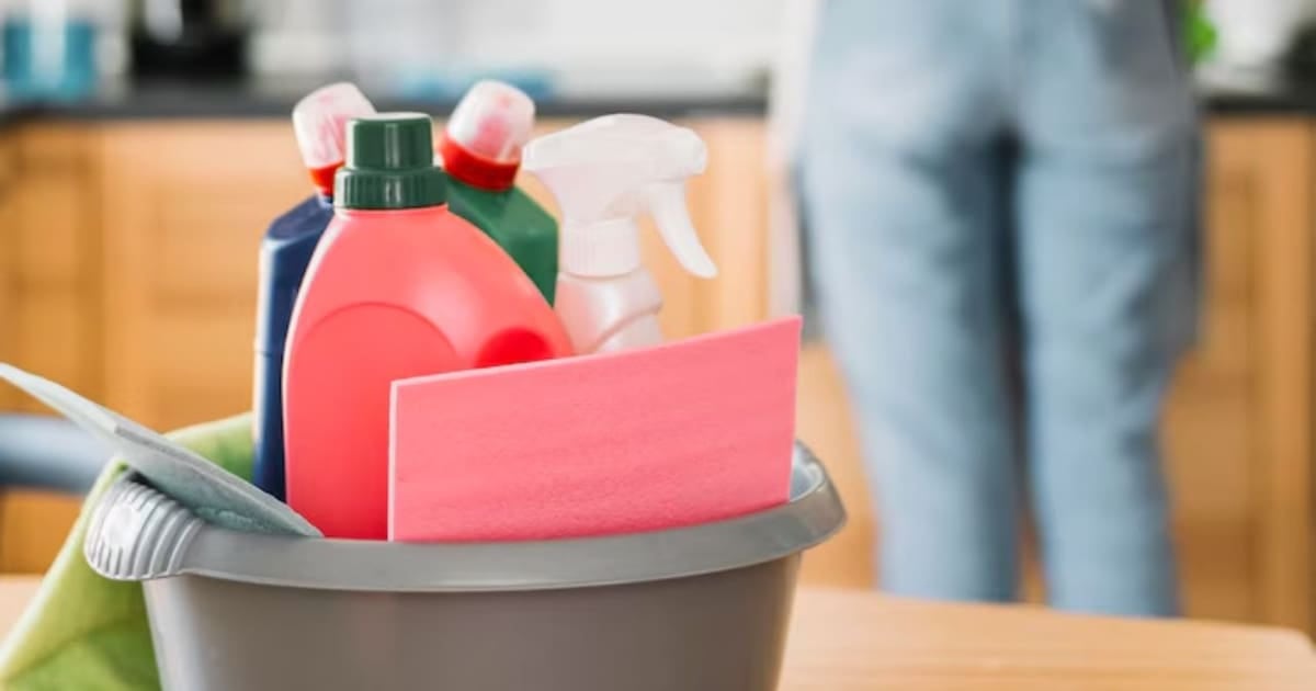 ARCA lanza un recibo de sueldo casi automático para el personal de casas particulares y le deja la última palabra al empleador