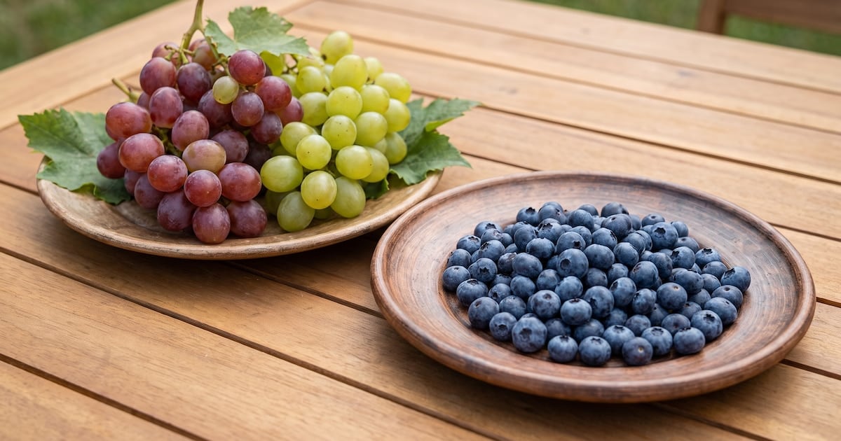 Arándanos y uvas, la pulseada por el azúcar en sangre: qué los diferencia y cómo comerlos sin pasar sobresaltos