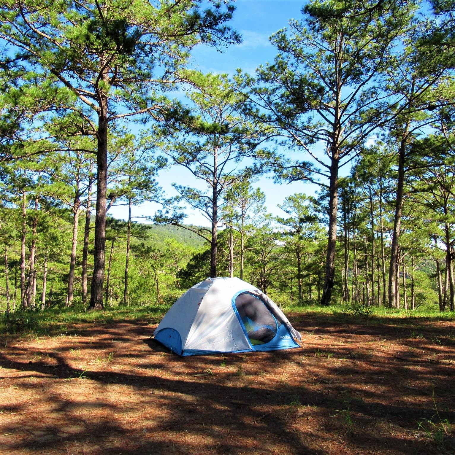 Huttopia Daryl arrives to Mar Azul with a new nature camping proposal