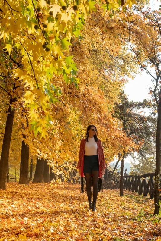 El otoño europeo abre una temporada de parques, museos y escapadas urbanas