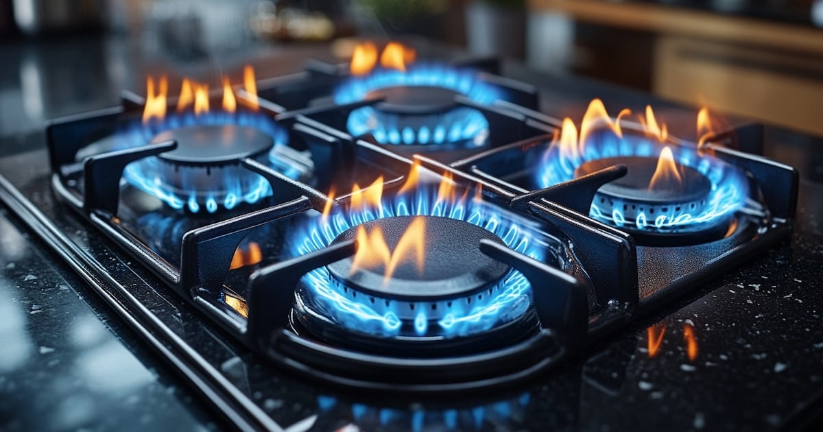 El Estado reduce el subsidio gasal y alcanza a 3,35 millones de hogares