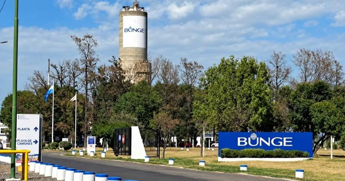 Campana: una empresa interrumpe su producción química y desvincula a 110 trabajadores